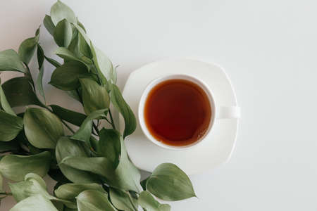 One white cup of tea with saucer and green bouquet on white background. Top view of coffee mug. Nice banner for cafe menu or restaurant. Morning breakfast. Start the day with coffeeの写真素材