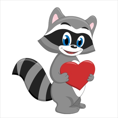 Handsome raccoon holding a heartのイラスト素材