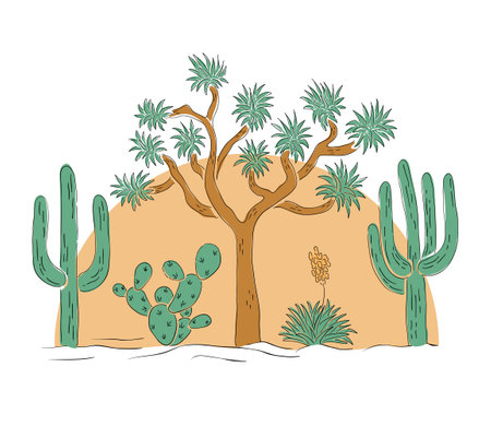 Colourful hand drawn desert cactus on the huge sun background. Vector clip art of Joshua tree, saguaro and opuntia. Desert vibes print design. Vector clip art of sunset.のイラスト素材
