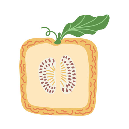 Artistic hand drawn illustration of square melon with leaf. Vector drawing of half of sweet fruit with seeds and pulp isolated on white background. Drawing of summer vegan dessert for your printing.のイラスト素材