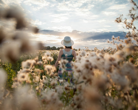 Pretty girl with hat walks in a field with field flowers on sunset or sunriseの写真素材