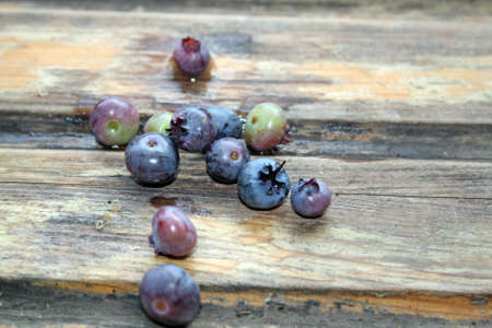 blue berries 