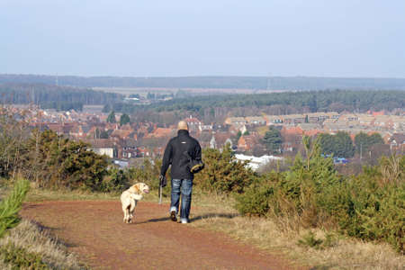 man walking dogsの写真素材