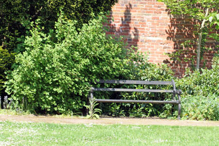 park benchの写真素材