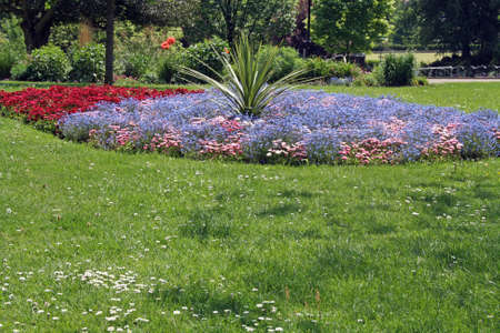 beautiful parkの写真素材