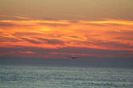 sun set over the beachの写真素材