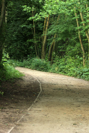 pathway