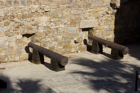 ancient gunsの写真素材