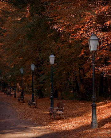 Autumn in the park , row of lamps and benches under the trees on a sunny afternoonの写真素材