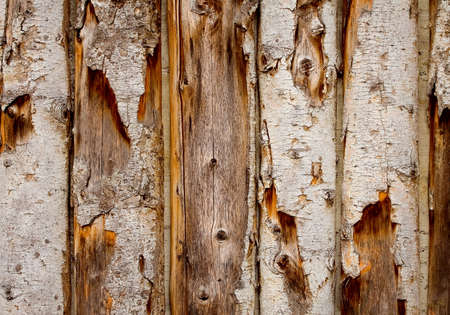 Old wooden garden fence close up - nice textureの写真素材
