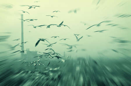 Apocalyptic moment with birds flying near big factories. Black and white toned photo with zoom effect.の写真素材
