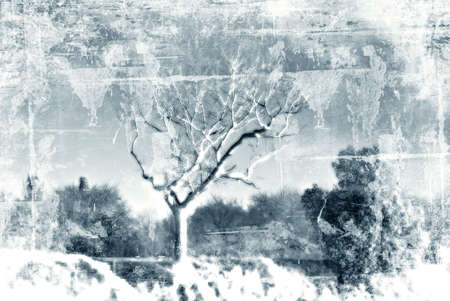 Winter scene - Computer designed grunge style backgroundの写真素材