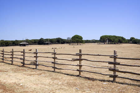 Farm field with an old wooden fenceの写真素材