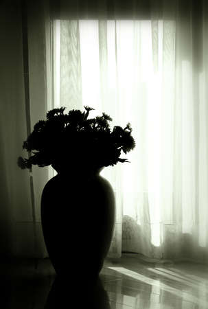 Modern home interior, vase silhouette against the window.の写真素材