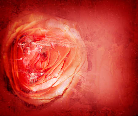 Computer designed grunge textured Valentines background - roseの写真素材