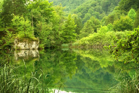 Beautiful landscape of a green lakeの写真素材