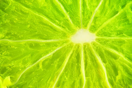 Studio macro of a beautiful green limeの写真素材