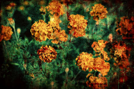 Computer designed highly detailed grunge textured floral background - collage. Nice grunge element for your projects. More images like this in my portfolioの写真素材