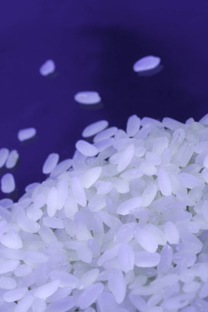 Rice on black background under neon lightの写真素材