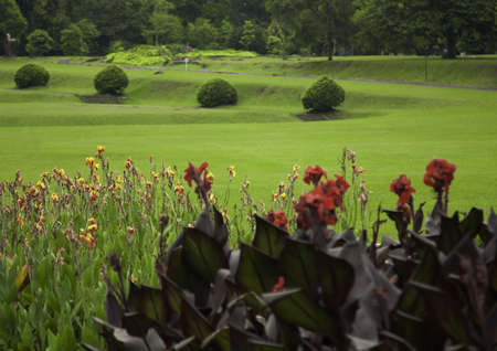 Photo of a beautiful park lane in Indonesiaの写真素材