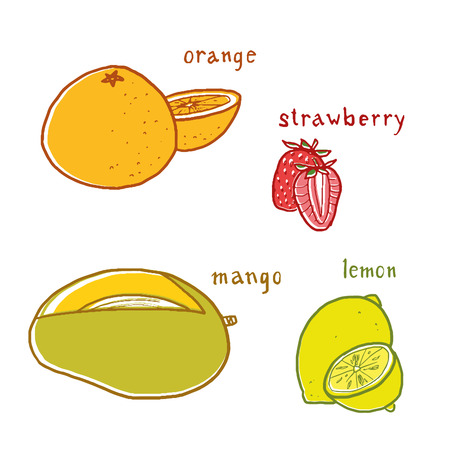 Fruit flavors drawings vector set with labelsのイラスト素材