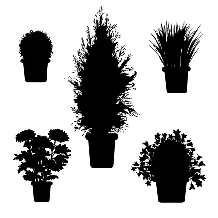 set of silhouette plants and flowers in pot. Black and white illustration of plantsのイラスト素材