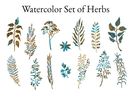 Vector colorful illustration set of herbs, plants and flowers. Hand drawn graphic sketches for you designのイラスト素材