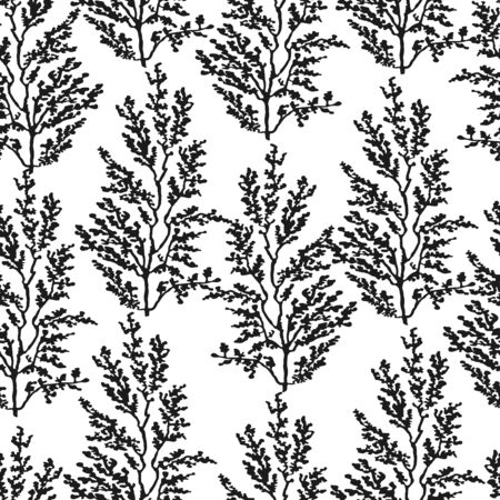 Vector seamless background with hand drawn illustration of herbs, or plants black on white field. Can be used for wallpaper, pattern fills, web page, surface textures, textile print, wrapping paperのイラスト素材