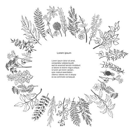 Vector black silhouette of floral and herb wreath. Hand draw frame. Can be used for invitation, greeting card and posterのイラスト素材