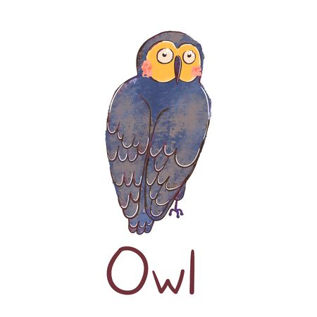 Vector colorful illustration of cute owl isolated on white background. Can be used as elemets for your design for greeting cards, nursery, poster, card, birthday party, packaging paper design, baby t-shirts printsのイラスト素材