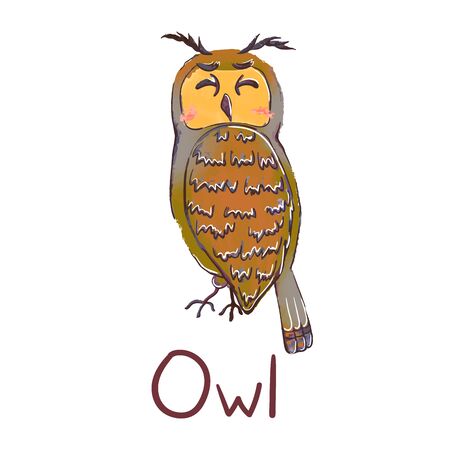 Vector colorful illustration of cute owl isolated on white background. Can be used as elemets for your design for greeting cards, nursery, poster, card, birthday party, packaging paper design, baby t-shirts printsのイラスト素材