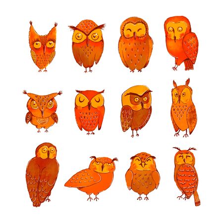 Vector colorful set with illustrations of cute owls isolated on white background. Can be used as elemets for your design for greeting cards, nursery, poster, card, birthday party, packaging paper design, baby t-shirts printsのイラスト素材