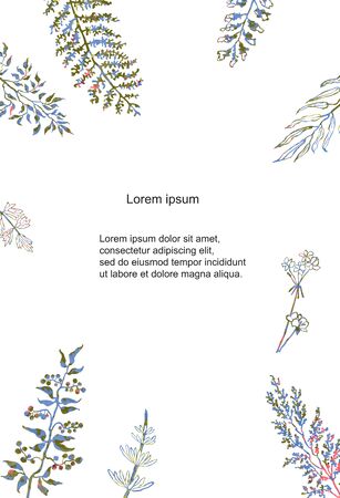 Vector floral template. Hand draw frame. Can be used for invitation, greeting card, poster, bannerのイラスト素材