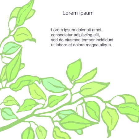 Vector floral template. Hand draw frame. Can be used for invitation, greeting card, poster, bannerのイラスト素材