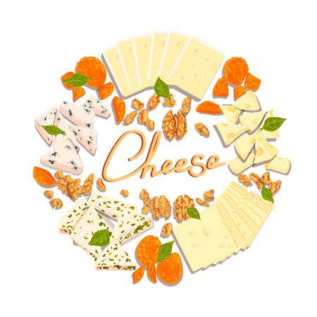 Vector colorful illustration set of different type cheeses.のイラスト素材