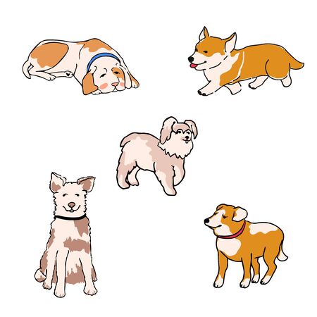 Vector set of colorful illustrations with dogs of different breeds. Can be used for postcard, banner, t-shirt print, invitation, greeting card, posterのイラスト素材