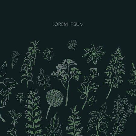 Vector floral template with plants and flowers. Hand draw frame. Use it as invitation, greeting card, poster, banner, Social Media design post, flyer, cover, placard, brochure and other graphic designのイラスト素材