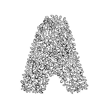 Vector illustration of hand drawn letter A. Black and white floral typography design for postcard, banner, t-shirt print, invitation, greeting card, poster, home decorのイラスト素材