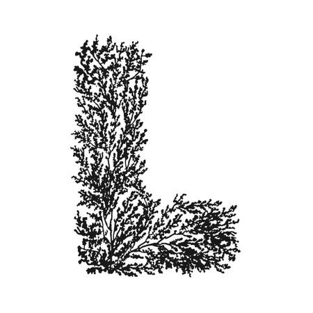 Vector illustration of hand drawn letter L. Black and white floral typography design for postcard, banner, t-shirt print, invitation, greeting card, poster, home decorのイラスト素材