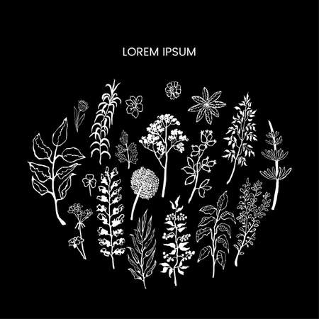 Vector floral template with plants and flowers. Hand draw frame. Use it as invitation, greeting card, poster, banner, Social Media design post, flyer, cover, placard, brochure and other graphic designのイラスト素材