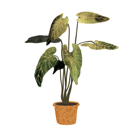 Vector colorful illustration of plant in pot isolated on white backgroundのイラスト素材