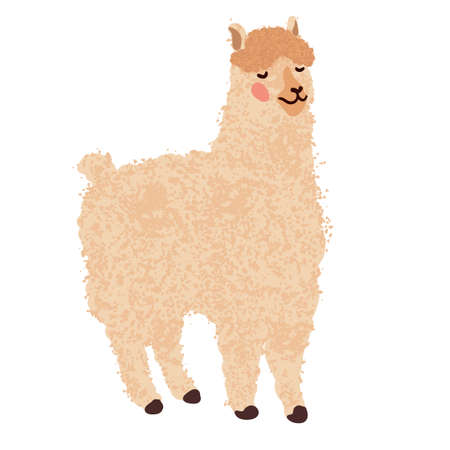 Vector colorful illustration of cute llama isolated on white background for invitation, greeting card, banners, t-shirt prints and postersのイラスト素材