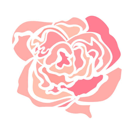 Vector colorful illustration of rose flower isolated on white backgroundのイラスト素材
