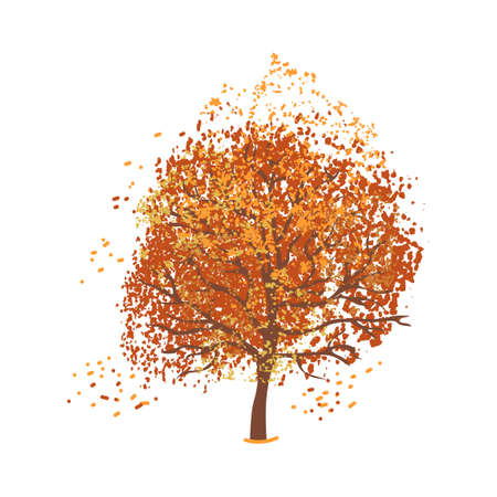 Vector Colorful Illustration of Autumn Tree Isolated on White Backgroundのイラスト素材