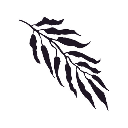 Vector Illustration of Palm Leaf Isolated on White backgroundのイラスト素材