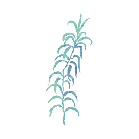 Plant Colorful Sign Isolated on white backgroundのイラスト素材
