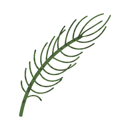 Vector Colorful Illustration of Fir Branch isolated on white background isolated on white backgroundのイラスト素材