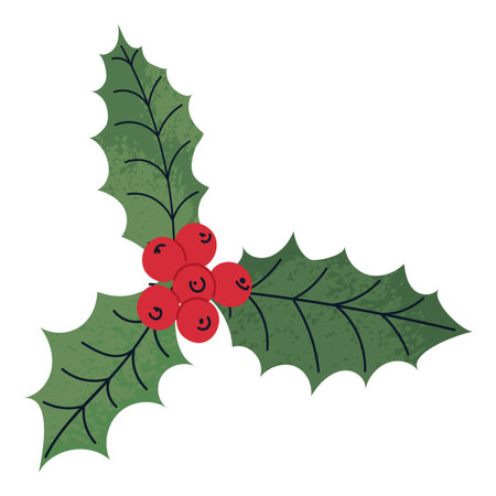 Vector Colorful Illustration of Ilex Branch with Berry and Leaves Isolated on White Backgroundのイラスト素材
