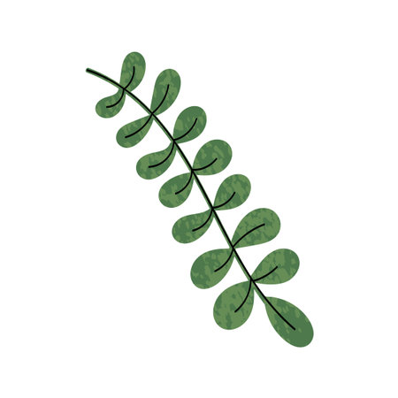 Vector Colorful illustration of plant with green leaves isolated on white backgroundのイラスト素材