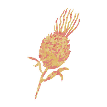 Vector Colorful Illustration of Herb Isolated on White Backgroundのイラスト素材